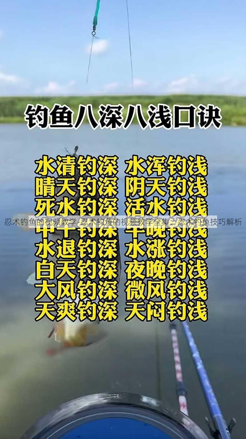 忍术钓鱼的视频教学-忍术钓鱼的视频教学全集：忍术钓鱼技巧解析