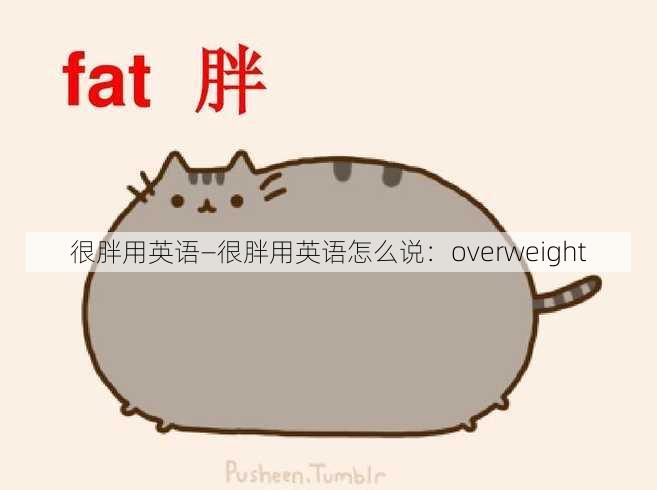 很胖用英语—很胖用英语怎么说：overweight