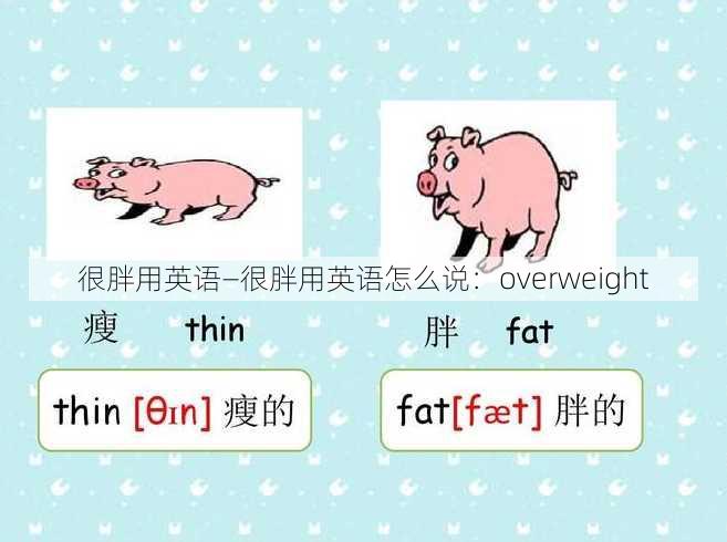 很胖用英语—很胖用英语怎么说：overweight