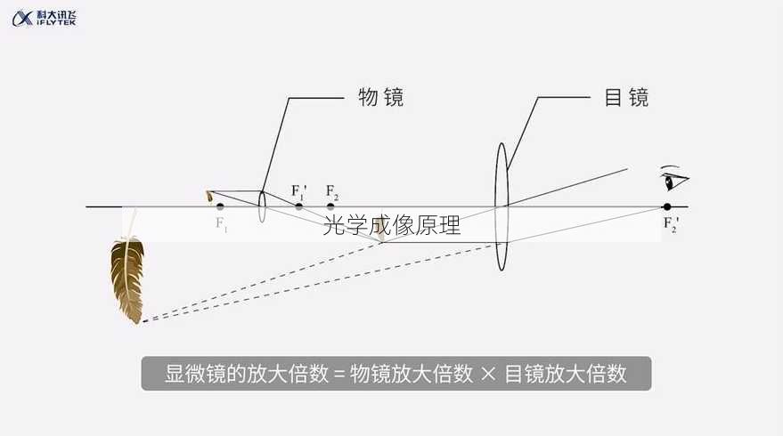 光学成像原理