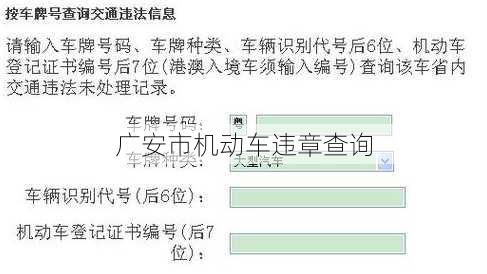 广安市机动车违章查询