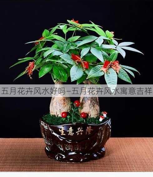 五月花卉风水好吗—五月花卉风水寓意吉祥