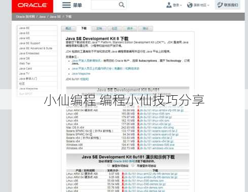 小仙编程 编程小仙技巧分享