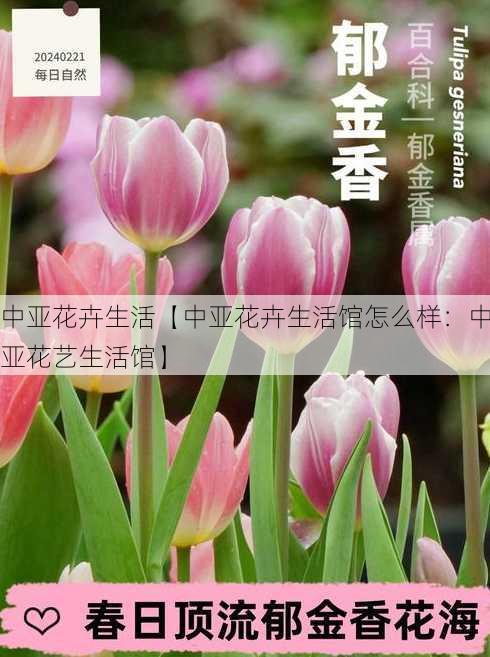 中亚花卉生活【中亚花卉生活馆怎么样：中亚花艺生活馆】