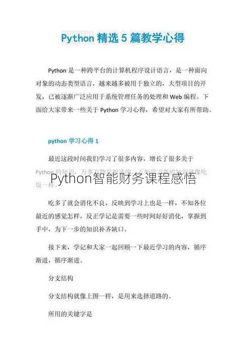 Python智能财务课程感悟