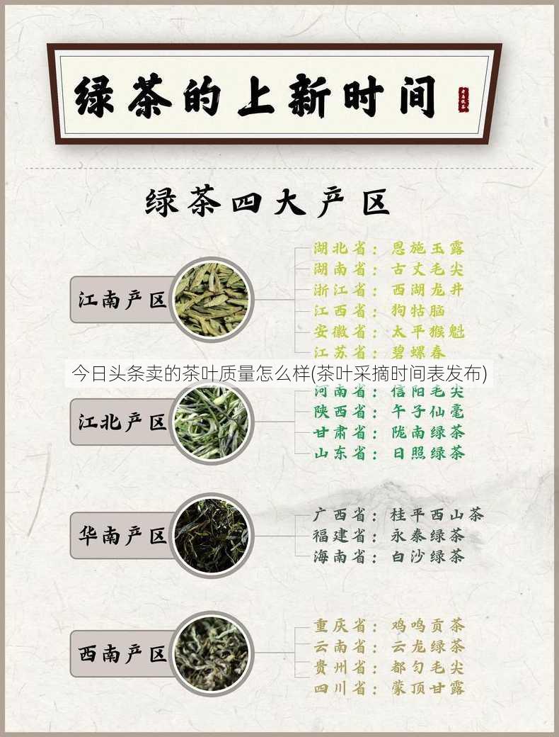 今日头条卖的茶叶质量怎么样(茶叶采摘时间表发布)