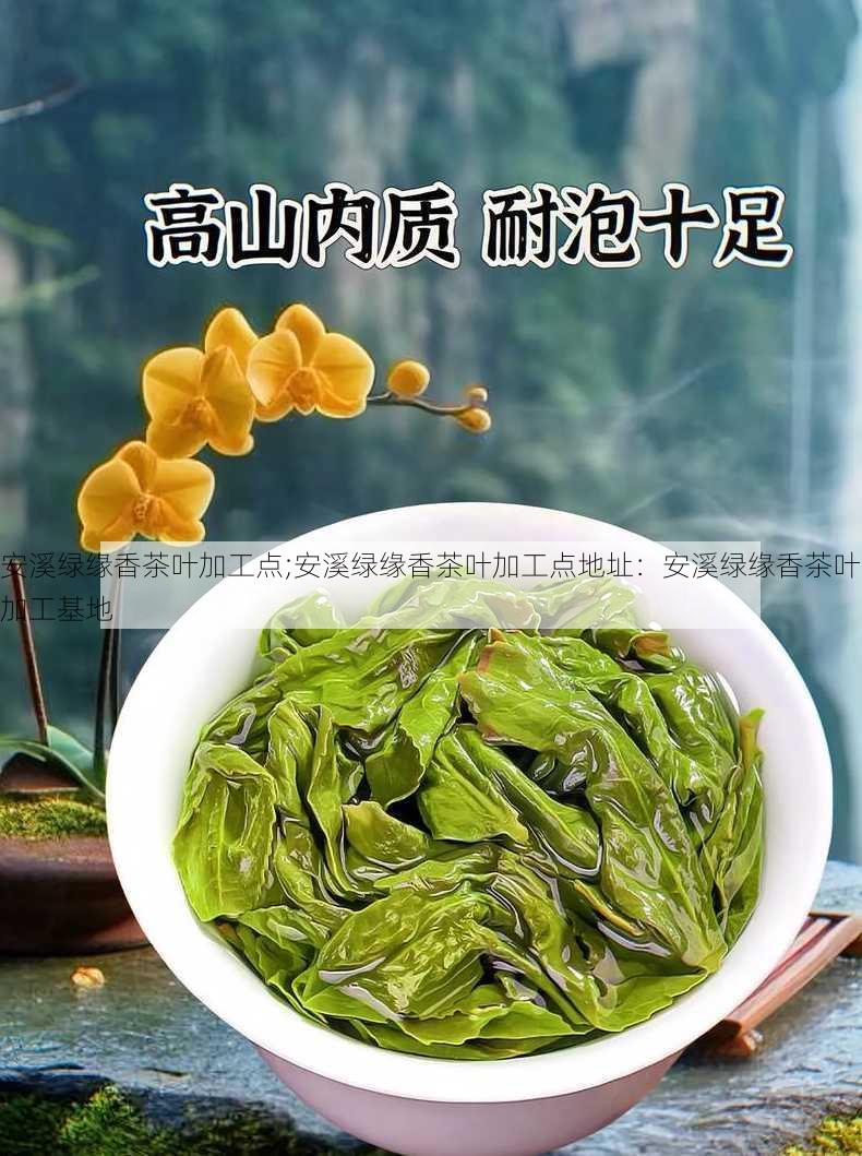 安溪绿缘香茶叶加工点;安溪绿缘香茶叶加工点地址：安溪绿缘香茶叶加工基地