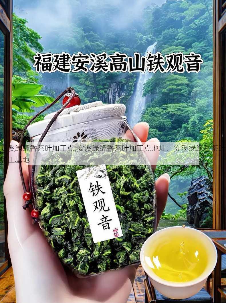 安溪绿缘香茶叶加工点;安溪绿缘香茶叶加工点地址：安溪绿缘香茶叶加工基地