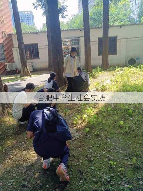 合肥中学生社会实践