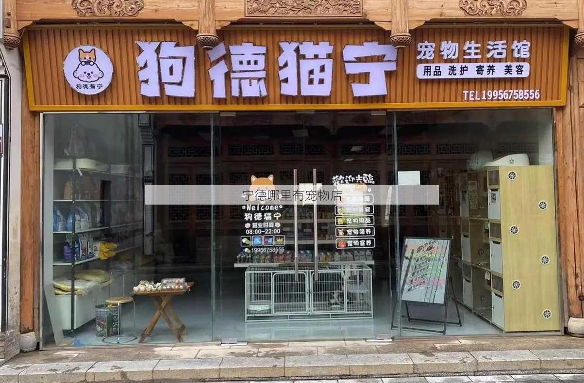 宁德哪里有宠物店