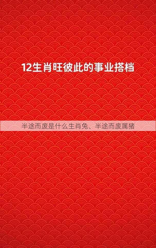 半途而废是什么生肖兔、半途而废属猪