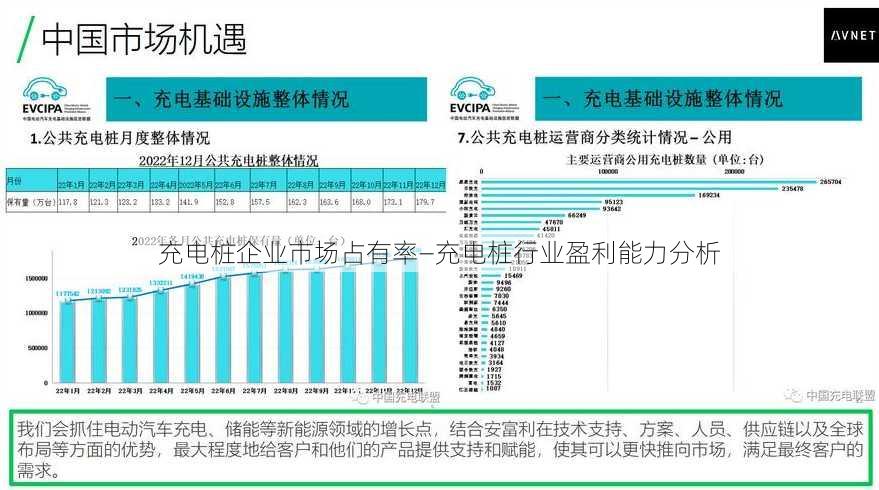 充电桩企业市场占有率—充电桩行业盈利能力分析