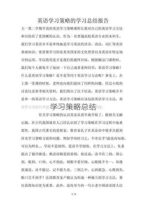 学习策略总结