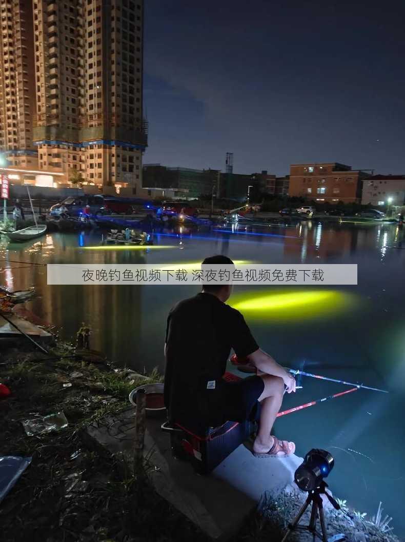 夜晚钓鱼视频下载 深夜钓鱼视频免费下载