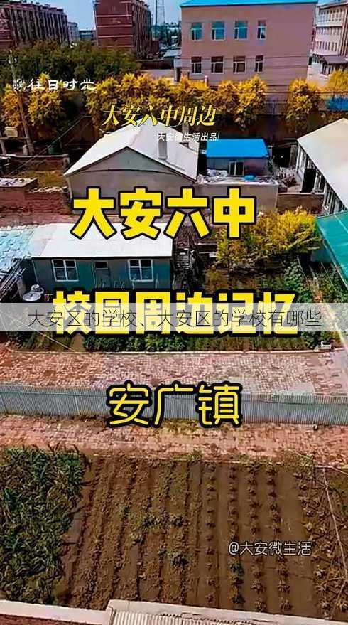 大安区的学校、大安区的学校有哪些