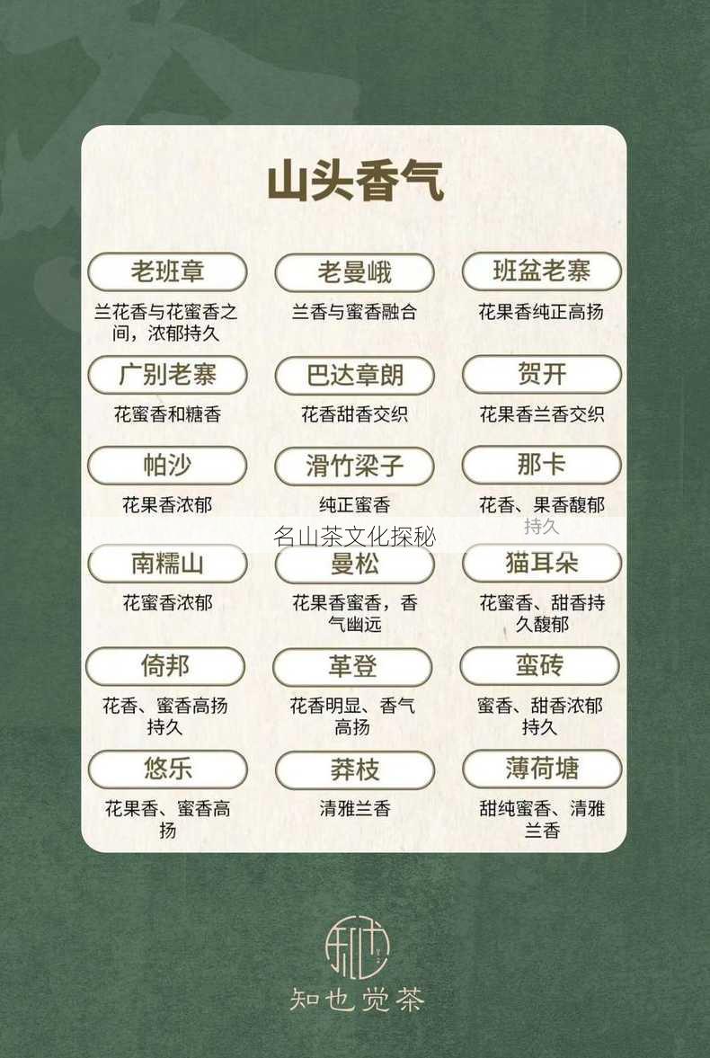 名山茶文化探秘