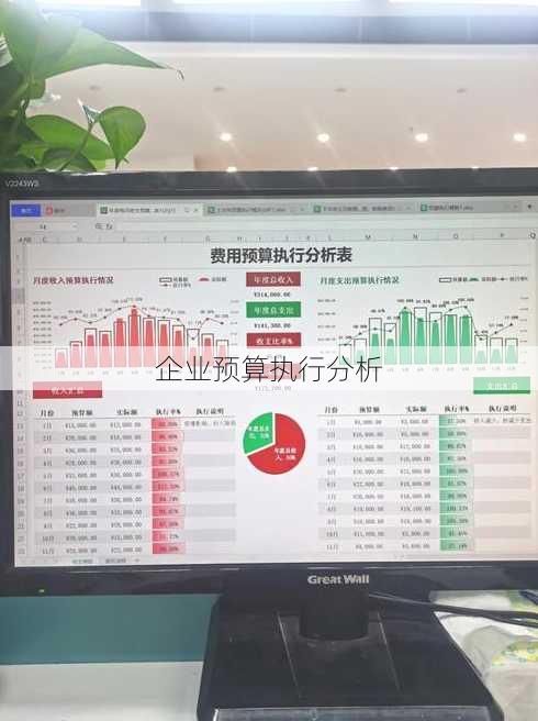 企业预算执行分析