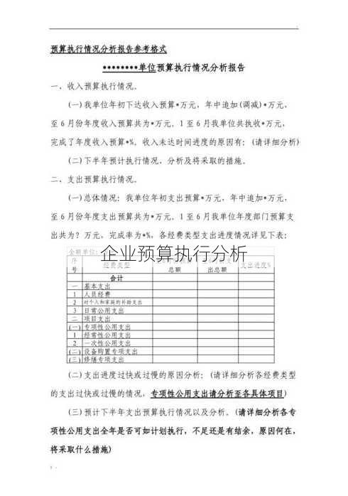 企业预算执行分析