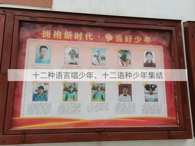 十二种语言唱少年、十二语种少年集结