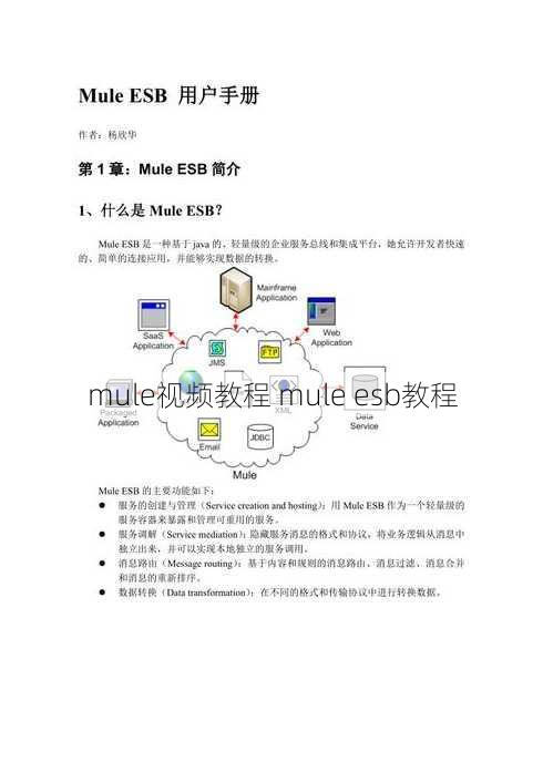 mule视频教程 mule esb教程