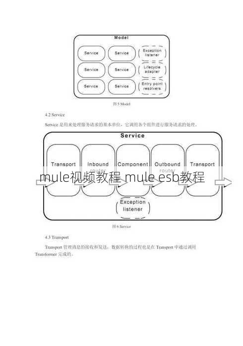 mule视频教程 mule esb教程