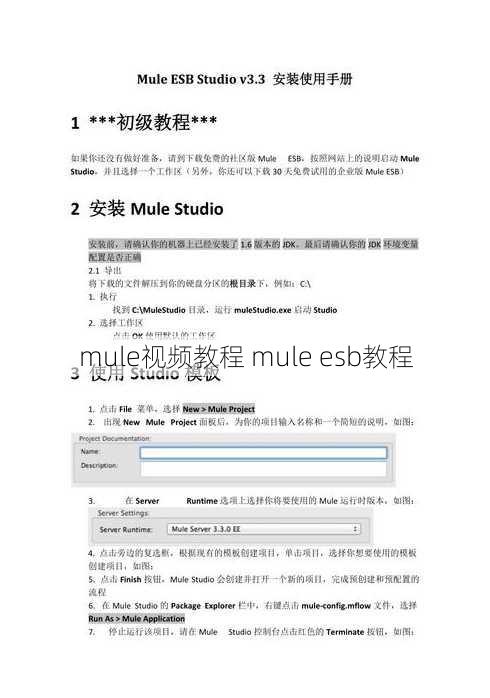 mule视频教程 mule esb教程