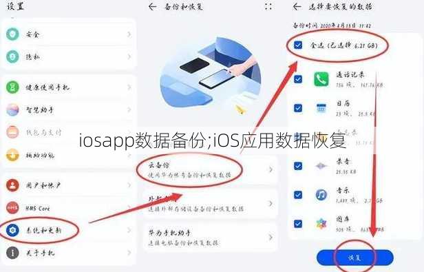 iosapp数据备份;iOS应用数据恢复