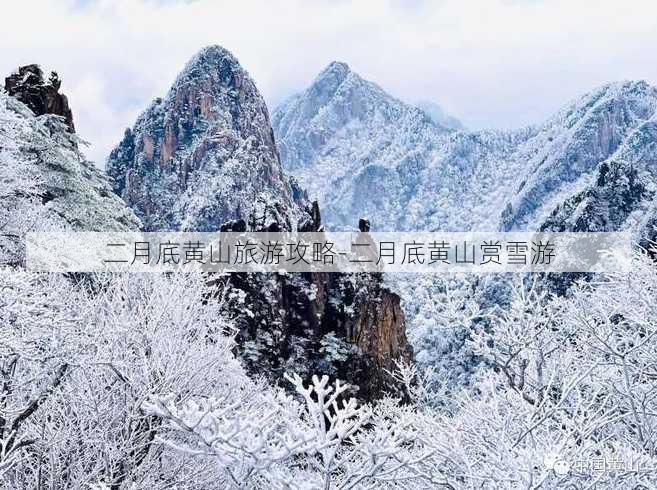 二月底黄山旅游攻略-二月底黄山赏雪游