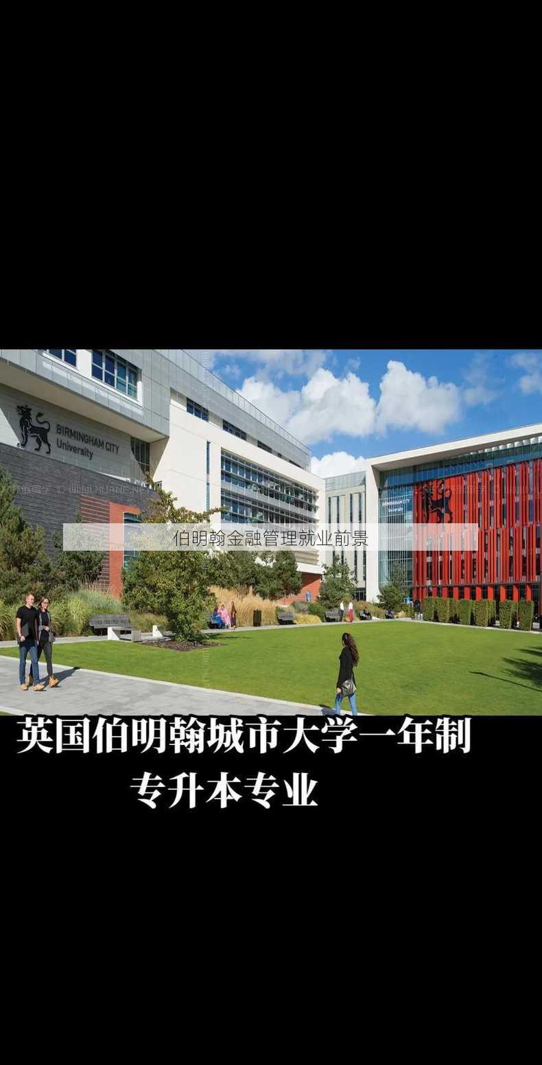 伯明翰金融管理就业前景