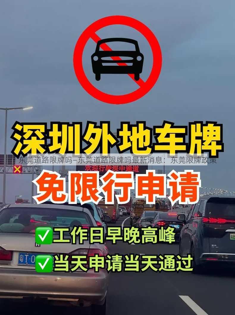 东莞道路限牌吗—东莞道路限牌吗最新消息：东莞限牌政策