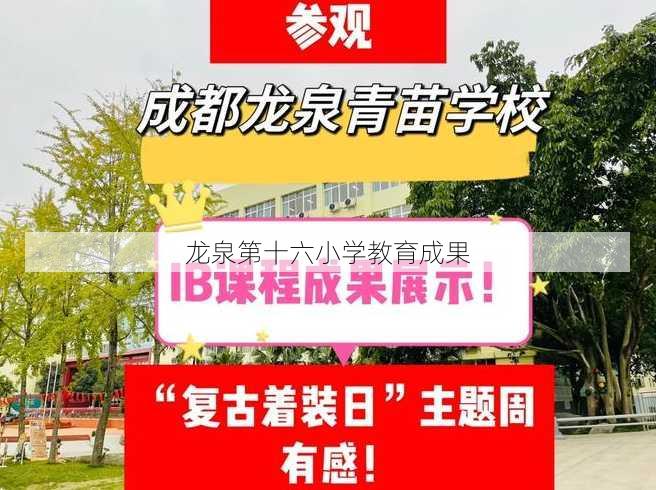 龙泉第十六小学教育成果