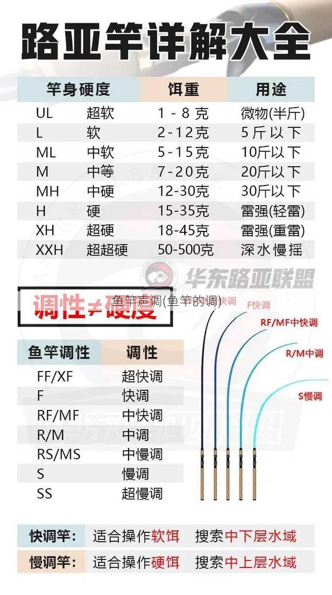 鱼竿声调(鱼竿的调)