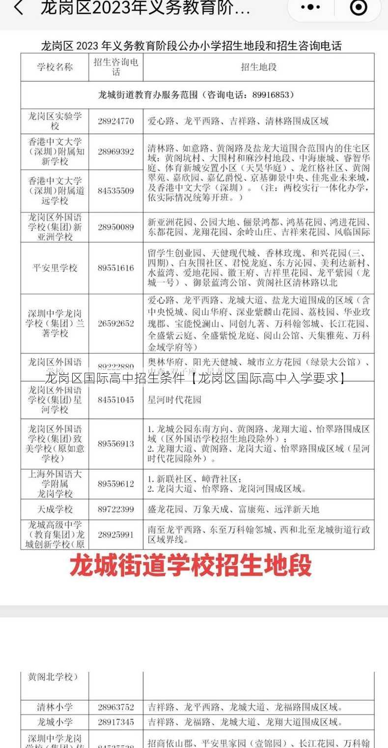 龙岗区国际高中招生条件【龙岗区国际高中入学要求】