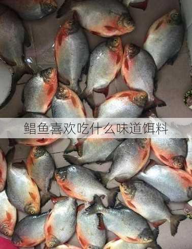 鲳鱼喜欢吃什么味道饵料