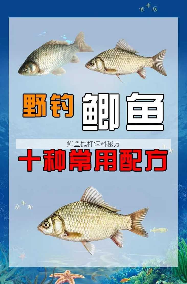 鲫鱼抛杆饵料秘方