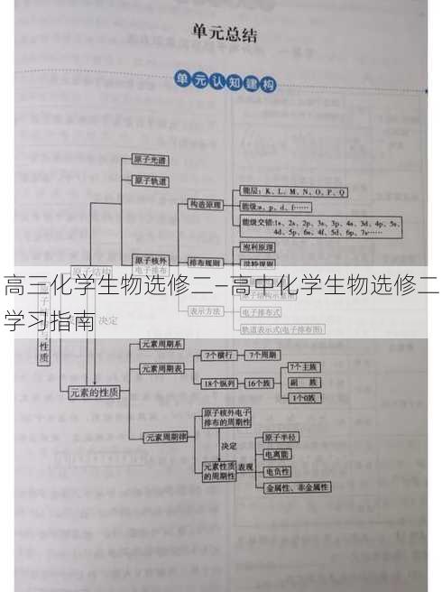 高三化学生物选修二—高中化学生物选修二学习指南