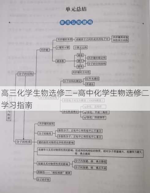 高三化学生物选修二—高中化学生物选修二学习指南