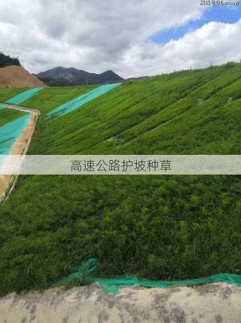 高速公路护坡种草