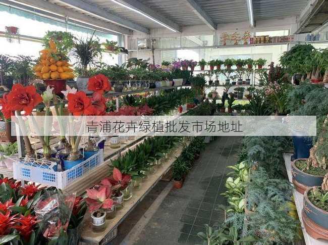 青浦花卉绿植批发市场地址