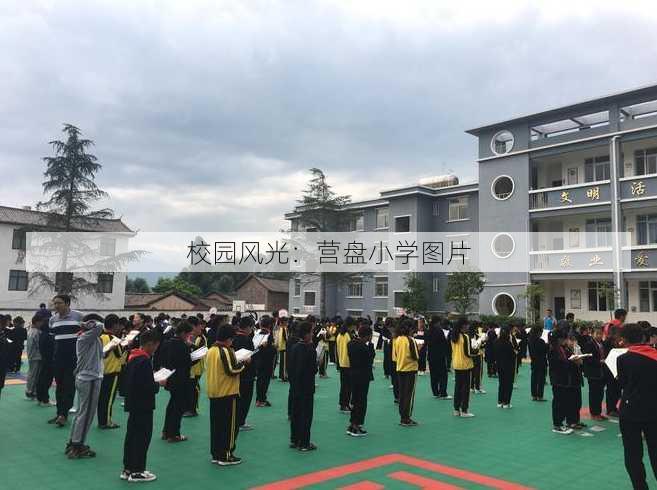 校园风光：营盘小学图片