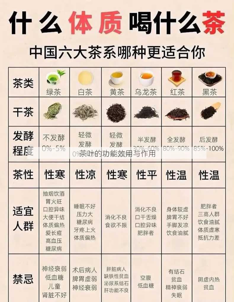 茶叶的功能效用与作用