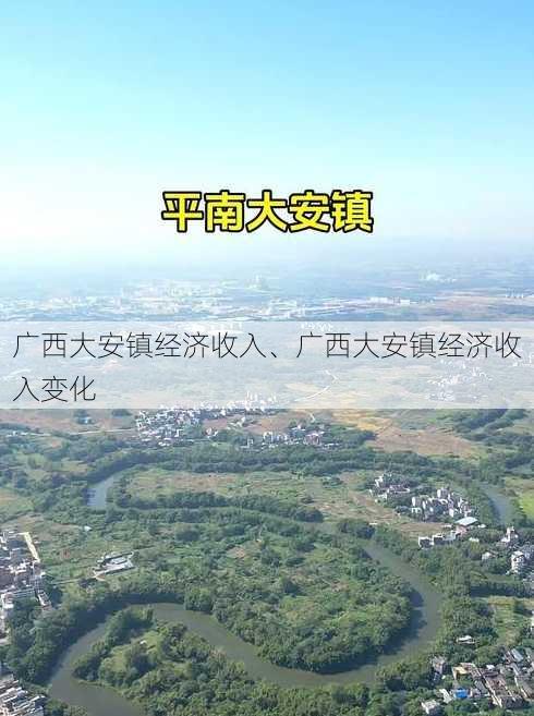 广西大安镇经济收入、广西大安镇经济收入变化