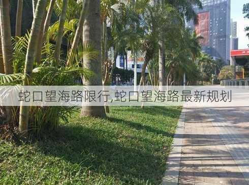 蛇口望海路限行,蛇口望海路最新规划