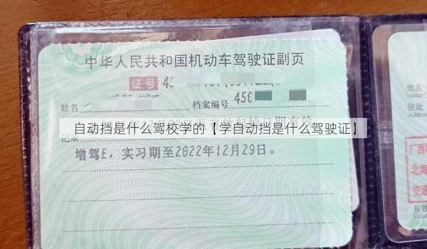 自动挡是什么驾校学的【学自动挡是什么驾驶证】