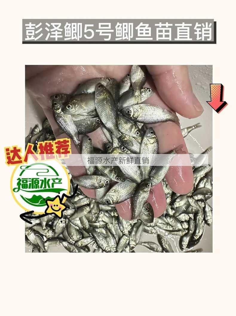 福源水产新鲜直销