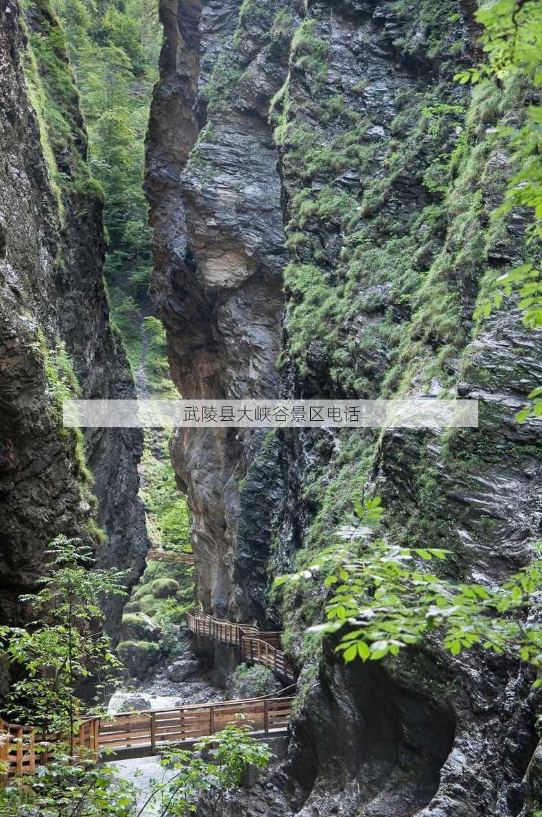 武陵县大峡谷景区电话