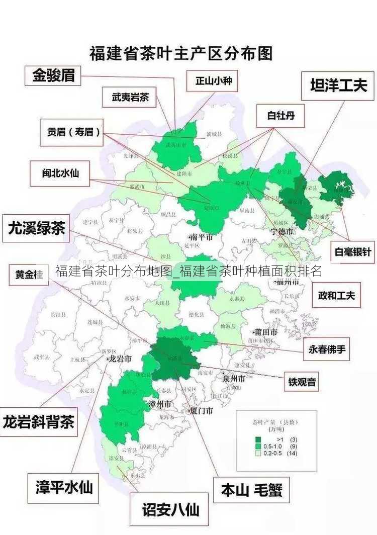 福建省茶叶分布地图_福建省茶叶种植面积排名