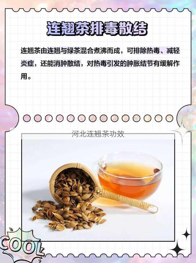 河北连翘茶功效