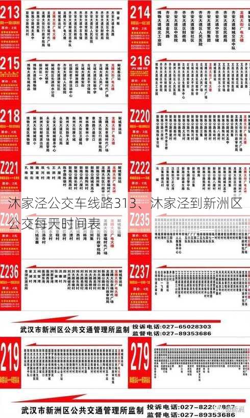 沐家泾公交车线路313、沐家泾到新洲区公交每天时间表