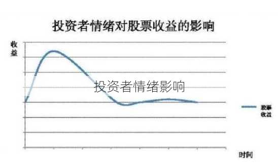 投资者情绪影响